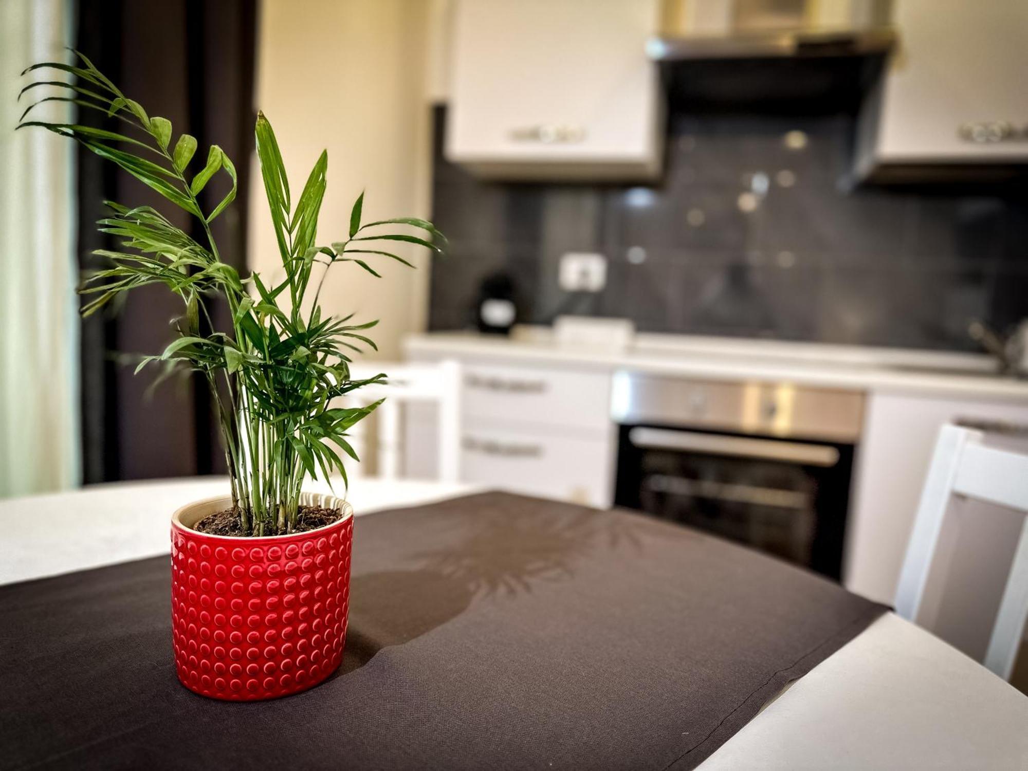 Da Rossella Apartment